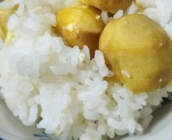 おうちごはん　栗ごはん